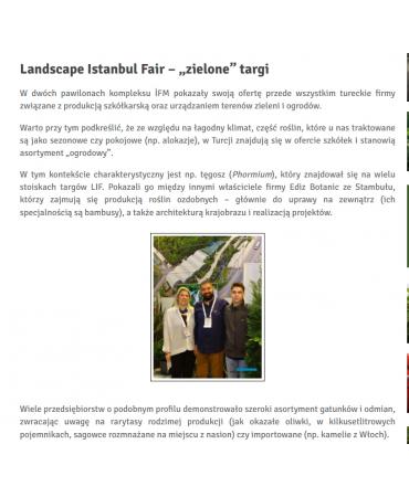 Landscape Istanbul