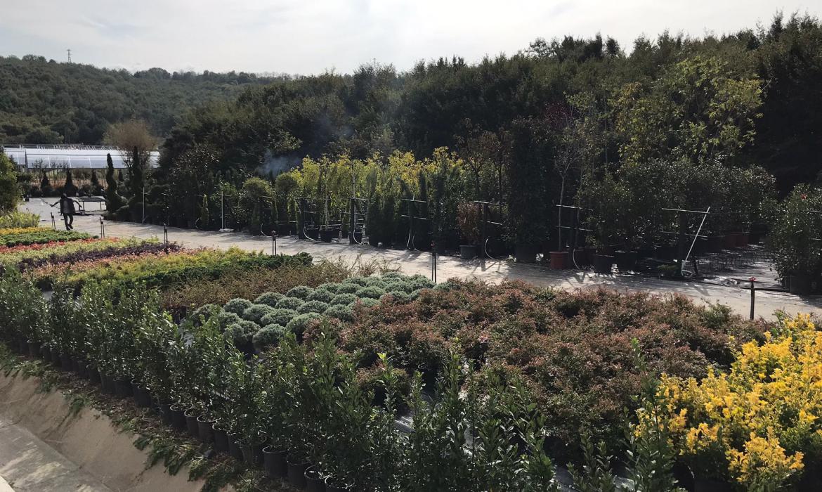  Nursery