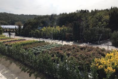  Nursery